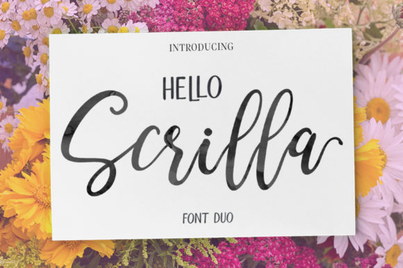 Discover the Dual Nature of Hello Scrilla Script