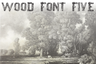 Wood Font Five: A Typeface with Natural Character